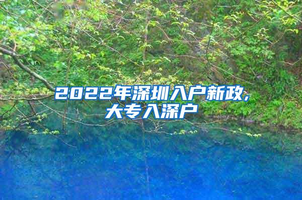 2022年深圳入户新政,大专入深户