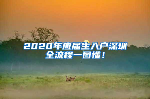 2020年应届生入户深圳全流程一图懂！