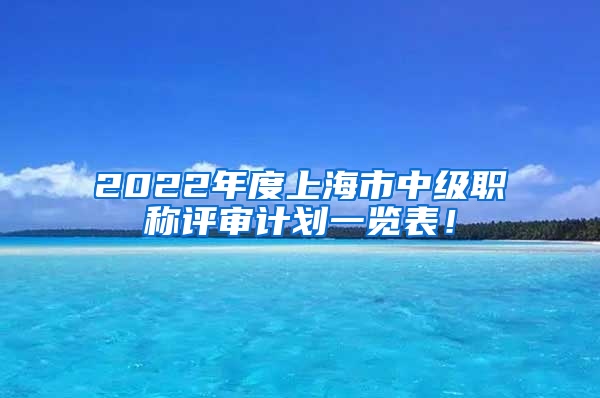 2022年度上海市中级职称评审计划一览表！