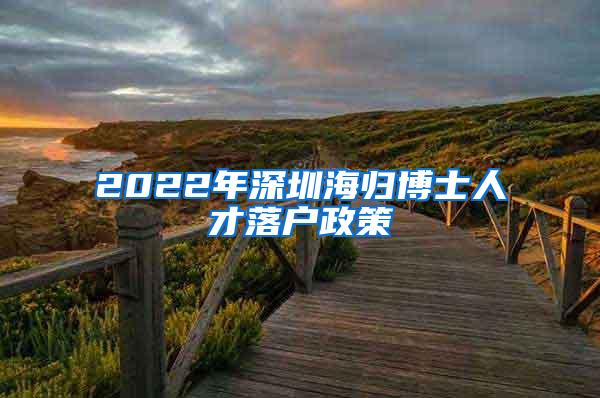 2022年深圳海归博士人才落户政策