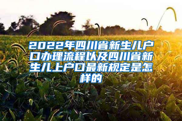 2022年四川省新生儿户口办理流程以及四川省新生儿上户口最新规定是怎样的