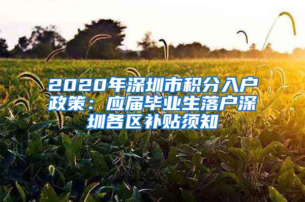 2020年深圳市积分入户政策：应届毕业生落户深圳各区补贴须知