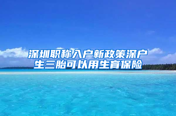 深圳职称入户新政策深户生三胎可以用生育保险