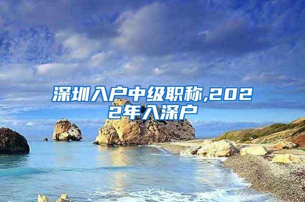 深圳入户中级职称,2022年入深户