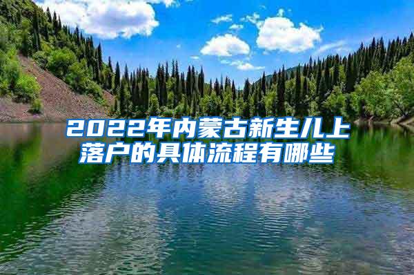 2022年内蒙古新生儿上落户的具体流程有哪些