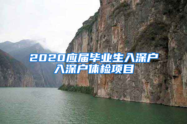 2020应届毕业生入深户入深户体检项目