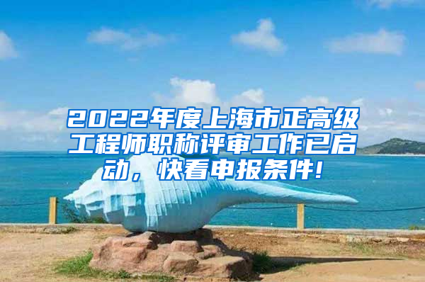 2022年度上海市正高级工程师职称评审工作已启动，快看申报条件!