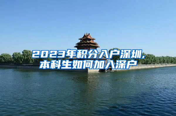 2023年积分入户深圳,本科生如何加入深户