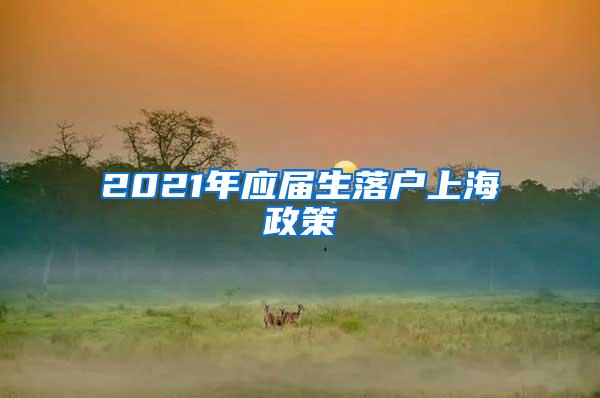 2021年应届生落户上海政策