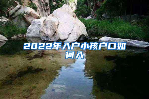 2022年入户小孩户口如何入