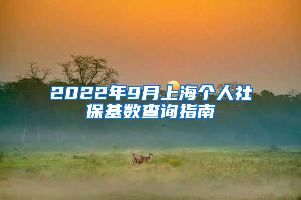 2022年9月上海个人社保基数查询指南