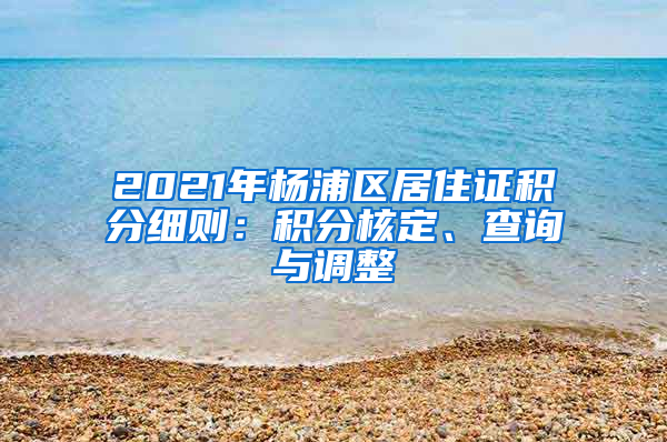 2021年杨浦区居住证积分细则：积分核定、查询与调整