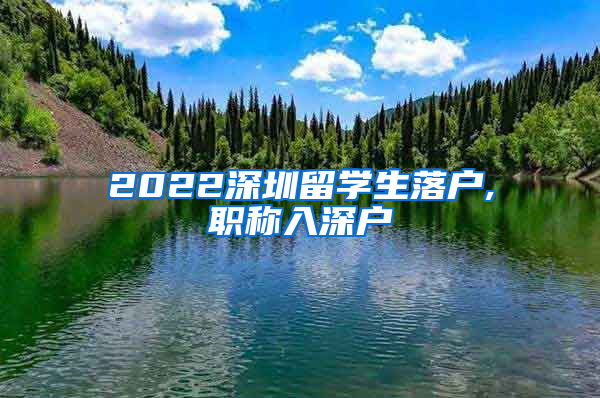 2022深圳留学生落户,职称入深户