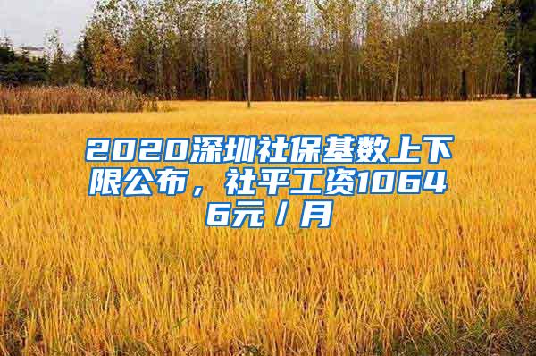 2020深圳社保基数上下限公布，社平工资10646元／月