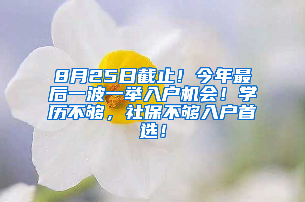 8月25日截止！今年最后一波一举入户机会！学历不够，社保不够入户首选！