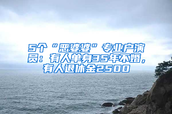 5个“恶婆婆”专业户演员：有人单身35年不婚，有人退休金2500