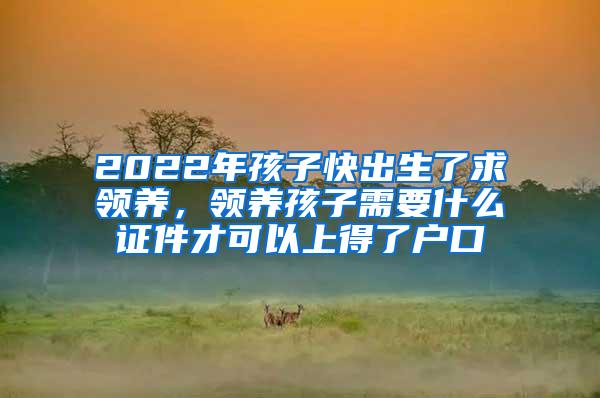 2022年孩子快出生了求领养，领养孩子需要什么证件才可以上得了户口