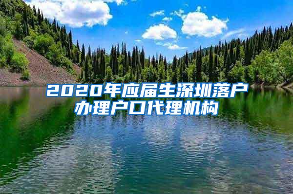 2020年应届生深圳落户办理户口代理机构