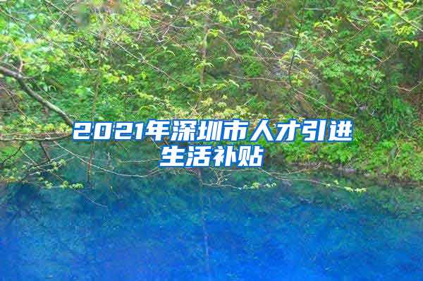 2021年深圳市人才引进生活补贴