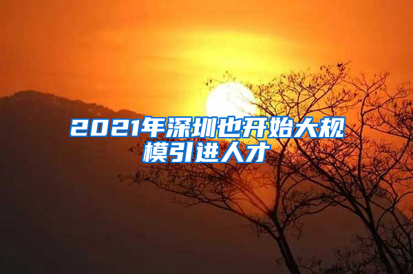 2021年深圳也开始大规模引进人才