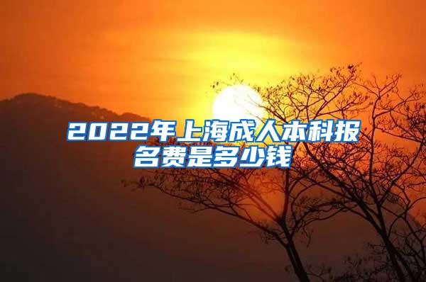 2022年上海成人本科报名费是多少钱