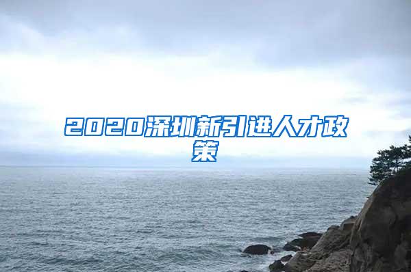 2020深圳新引进人才政策