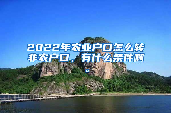 2022年农业户口怎么转非农户口，有什么条件啊。