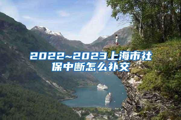 2022~2023上海市社保中断怎么补交