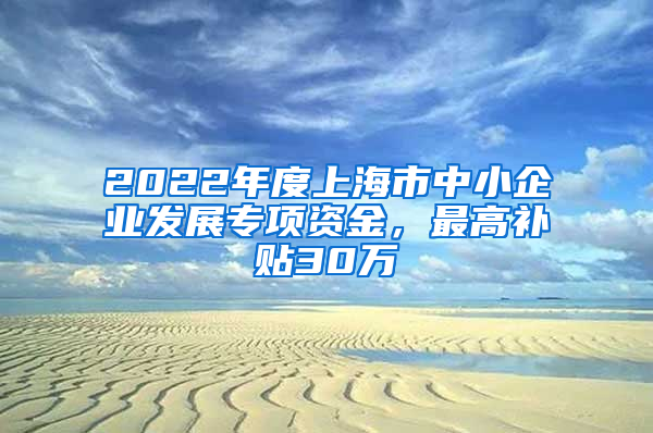 2022年度上海市中小企业发展专项资金，最高补贴30万