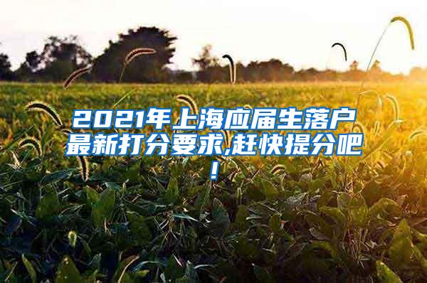 2021年上海应届生落户最新打分要求,赶快提分吧!