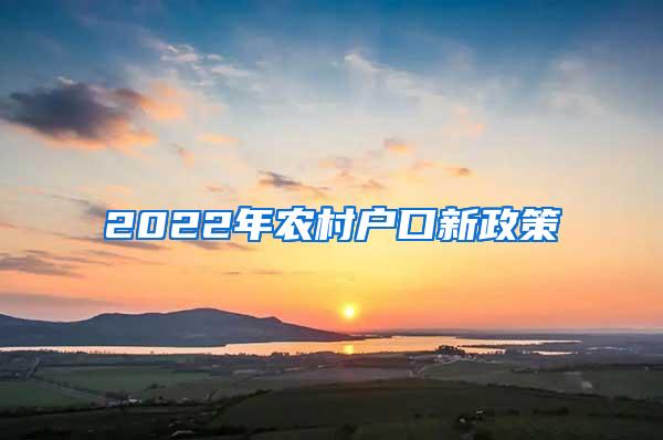 2022年农村户口新政策