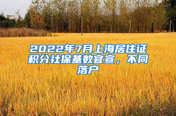 2022年7月上海居住证积分社保基数官宣，不同落户