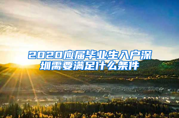 2020应届毕业生入户深圳需要满足什么条件