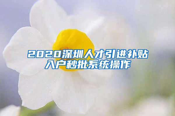 2020深圳人才引进补贴入户秒批系统操作