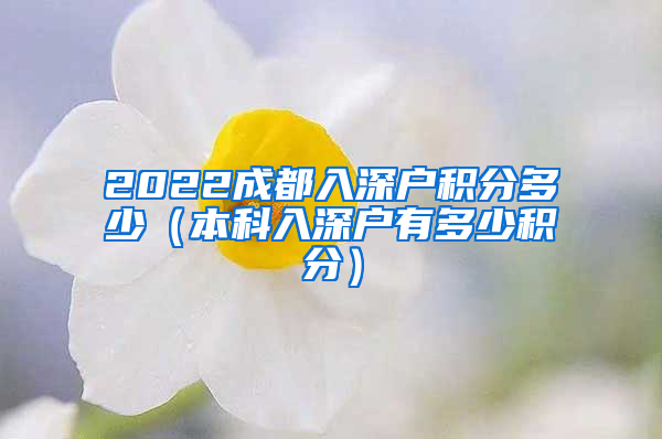 2022成都入深户积分多少（本科入深户有多少积分）