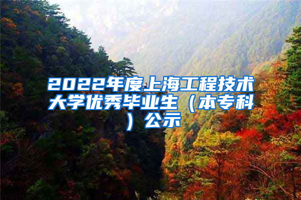 2022年度上海工程技术大学优秀毕业生（本专科）公示