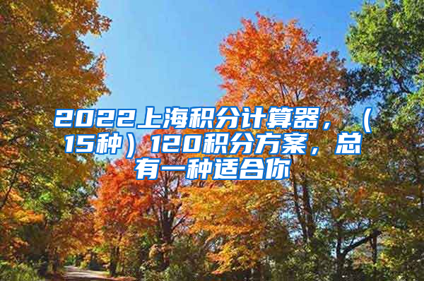 2022上海积分计算器，（15种）120积分方案，总有一种适合你