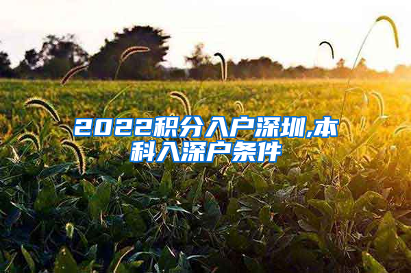 2022积分入户深圳,本科入深户条件