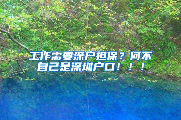 工作需要深户担保？何不自己是深圳户口！！！