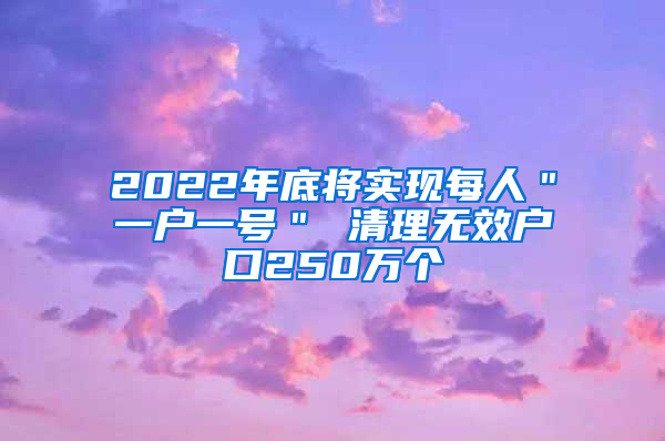 2022年底将实现每人＂一户一号＂ 清理无效户口250万个