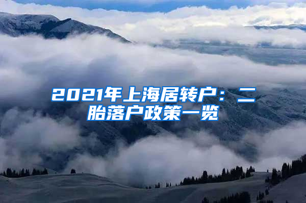 2021年上海居转户：二胎落户政策一览