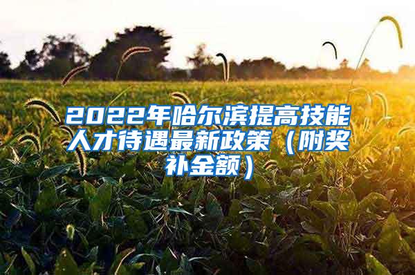 2022年哈尔滨提高技能人才待遇最新政策（附奖补金额）