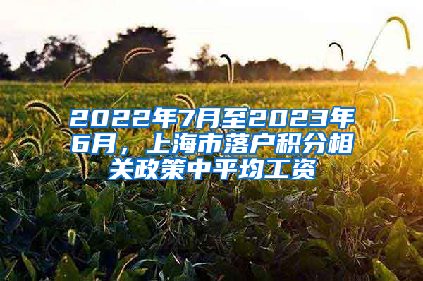 2022年7月至2023年6月，上海市落户积分相关政策中平均工资