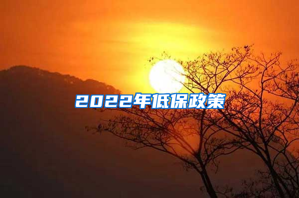 2022年低保政策