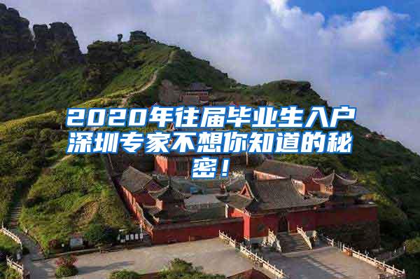 2020年往届毕业生入户深圳专家不想你知道的秘密！