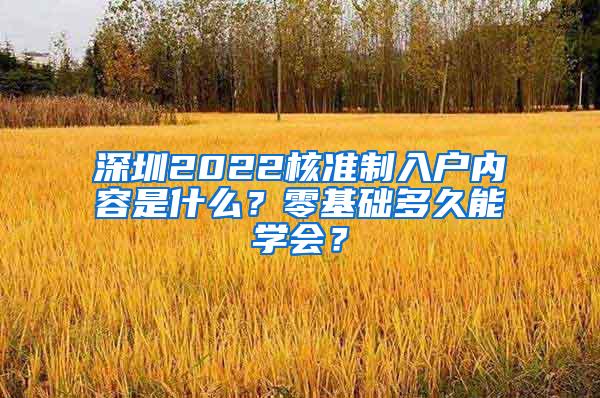 深圳2022核准制入户内容是什么？零基础多久能学会？