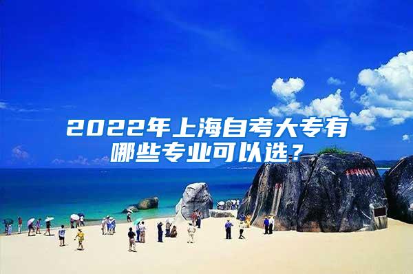 2022年上海自考大专有哪些专业可以选？