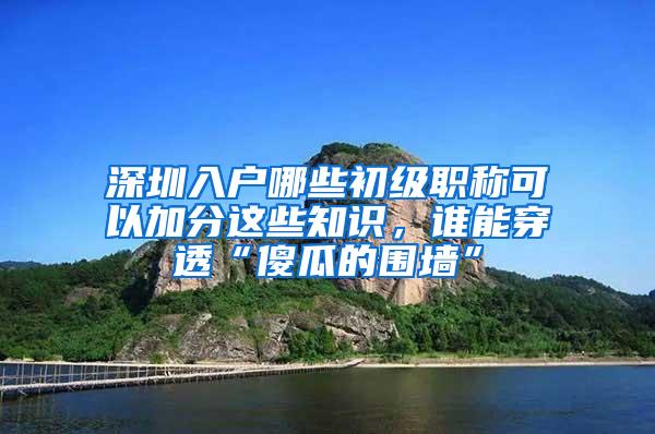 深圳入户哪些初级职称可以加分这些知识，谁能穿透“傻瓜的围墙”