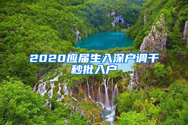 2020应届生入深户调干秒批入户