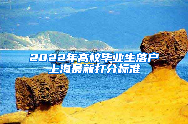 2022年高校毕业生落户上海最新打分标准